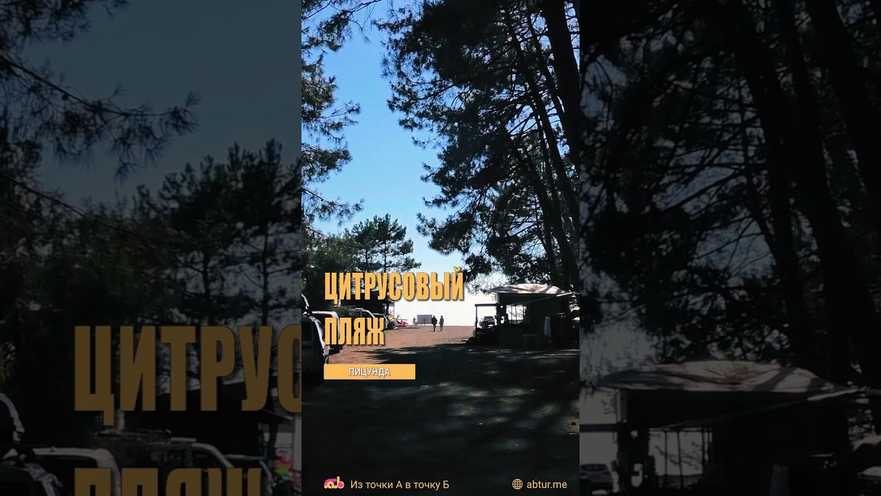 Пляж посёлка Цитрусовый. Пицунда, Абхазия