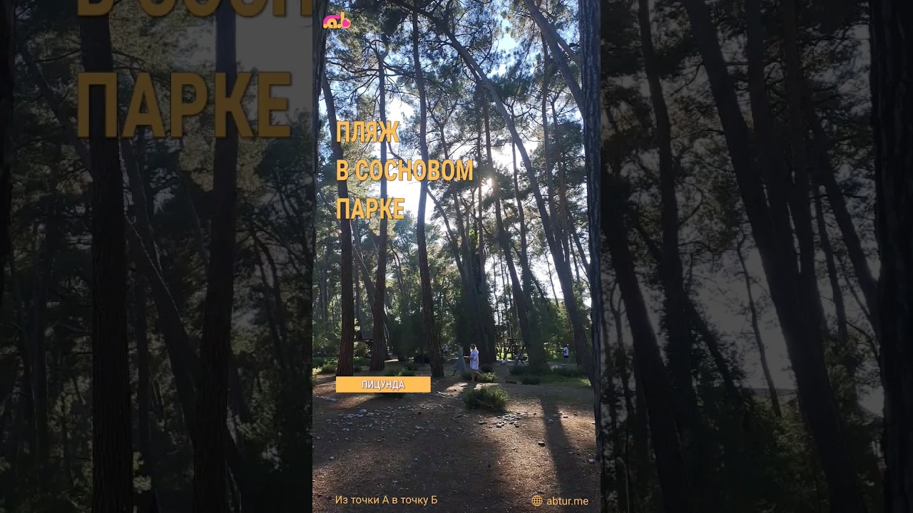 Пляж Лдзаа. Пицунда, Абхазия.