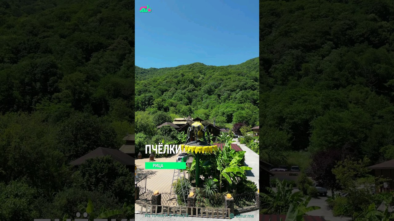 Медовый двор, пчелиное хозяйство.