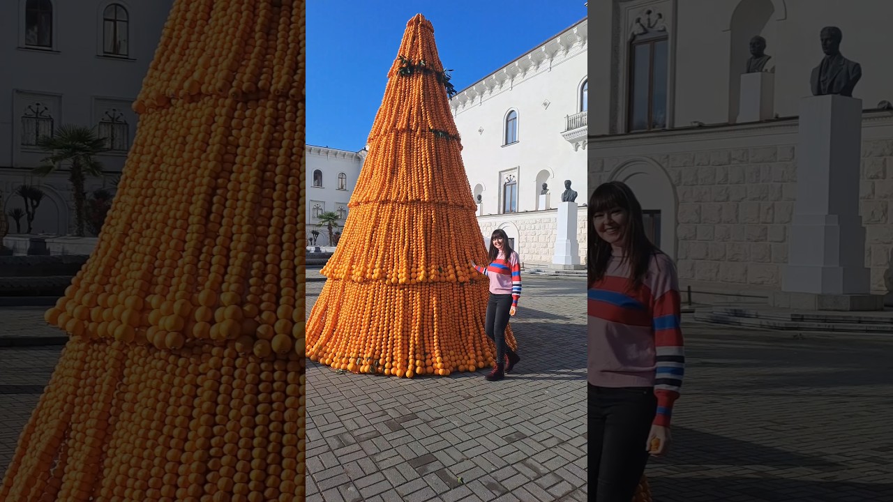 Мандариновая Ёлка в Сухуме 2025 г., Абхазия